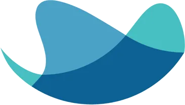 Raynet